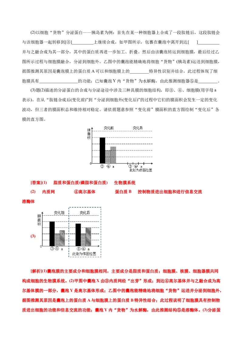 第3章细胞的基本结构（B卷&middot;能力提升练）（解析版）_高中九科知识点归纳。_人教版高中Word电子版试卷练习试题知识点全科_高中生物试卷习题_生物必修_必修1_1.单元测试AB卷（第一套）