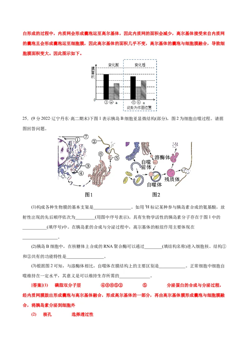 第3章细胞的基本结构（B卷&middot;能力提升练）（解析版）_高中九科知识点归纳。_人教版高中Word电子版试卷练习试题知识点全科_高中生物试卷习题_生物必修_必修1_1.单元测试AB卷（第一套）