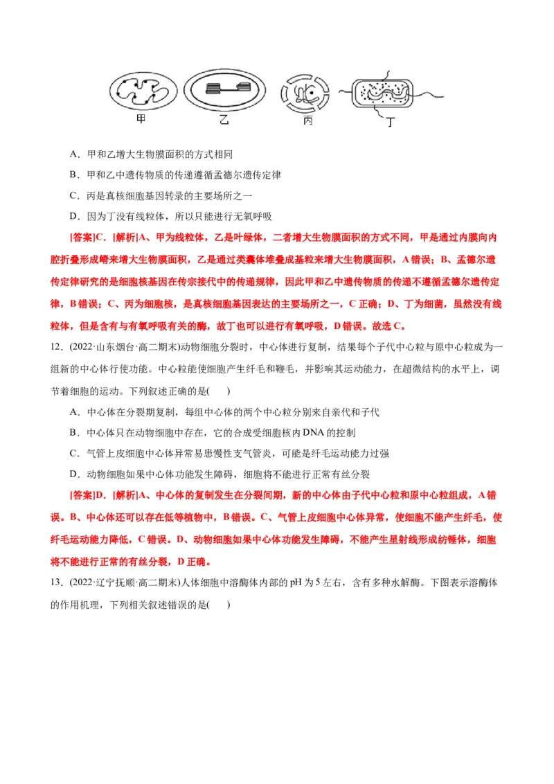 第3章细胞的基本结构（B卷&middot;能力提升练）（解析版）_高中九科知识点归纳。_人教版高中Word电子版试卷练习试题知识点全科_高中生物试卷习题_生物必修_必修1_1.单元测试AB卷（第一套）