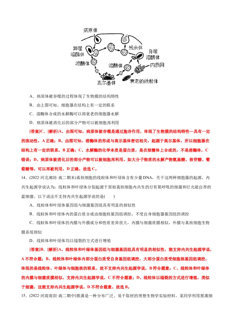 第3章细胞的基本结构（B卷&middot;能力提升练）（解析版）_高中九科知识点归纳。_人教版高中Word电子版试卷练习试题知识点全科_高中生物试卷习题_生物必修_必修1_1.单元测试AB卷（第一套）