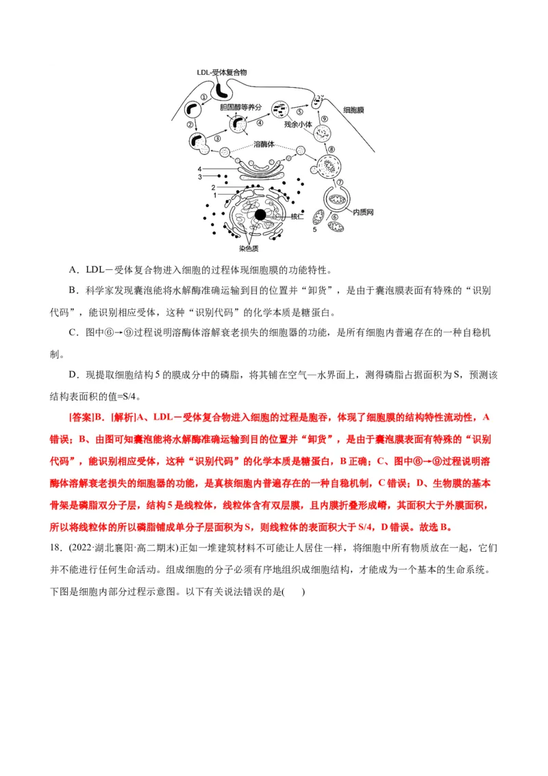 第3章细胞的基本结构（B卷&middot;能力提升练）（解析版）_高中九科知识点归纳。_人教版高中Word电子版试卷练习试题知识点全科_高中生物试卷习题_生物必修_必修1_1.单元测试AB卷（第一套）