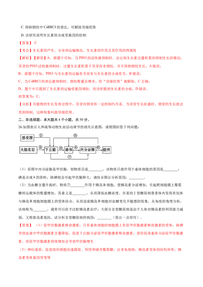 高二生物上学期期末测试卷04（人教版2019选择性必修1）（解析版）_高中九科知识点归纳。_人教版高中Word电子版试卷练习试题知识点全科_高中生物试卷习题_生物选修_选修1
