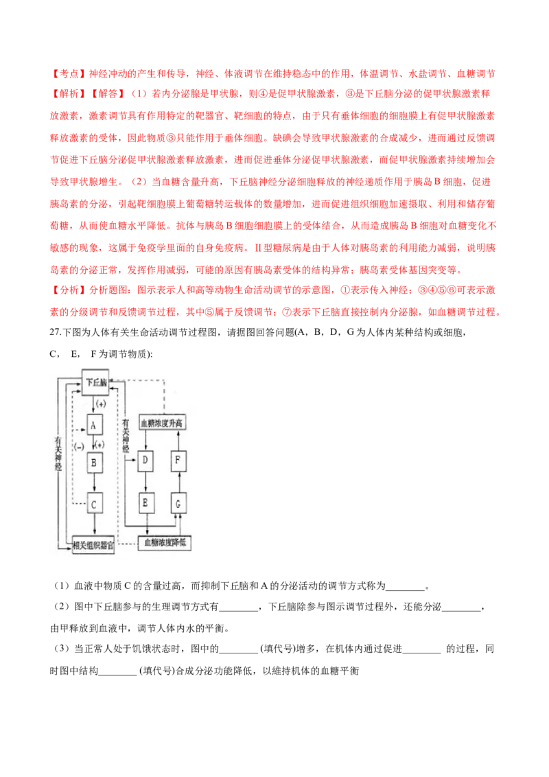 高二生物上学期期末测试卷04（人教版2019选择性必修1）（解析版）_高中九科知识点归纳。_人教版高中Word电子版试卷练习试题知识点全科_高中生物试卷习题_生物选修_选修1