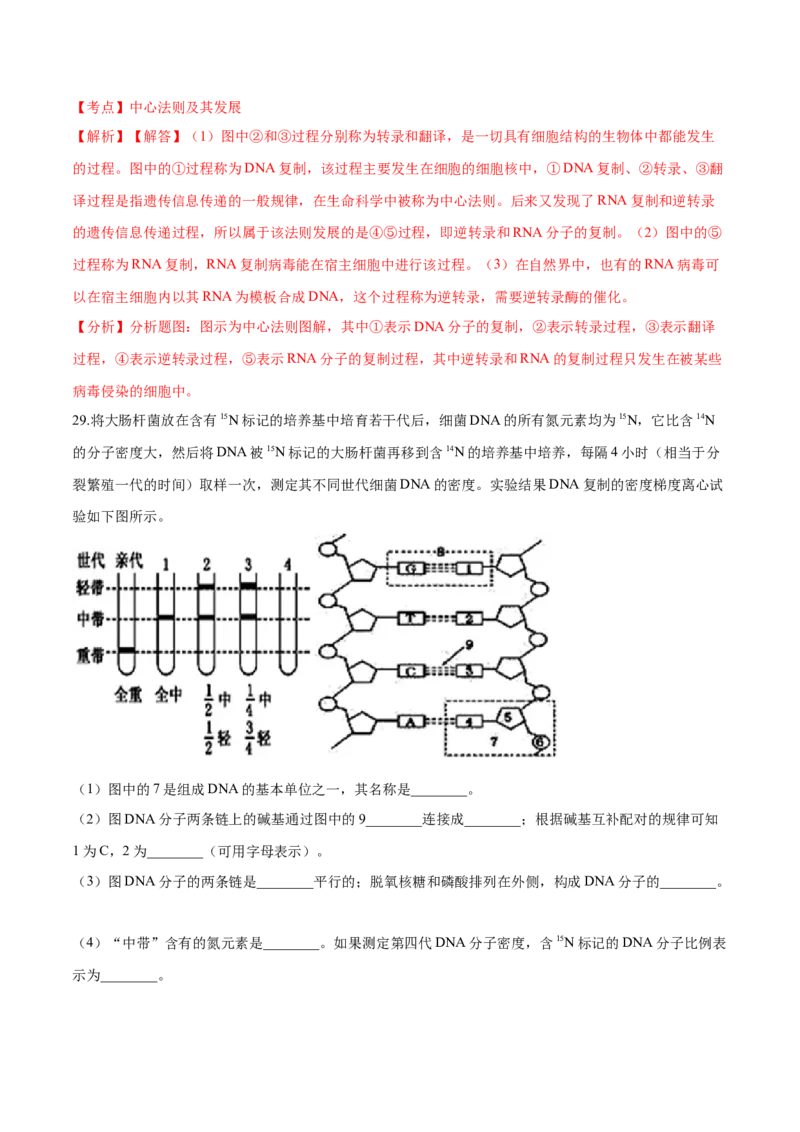 高一生物下学期期中测试卷01（人教版2023选择性必修2）（解析版）_高中九科知识点归纳。_人教版高中Word电子版试卷练习试题知识点全科_高中生物试卷习题_生物必修_必修2