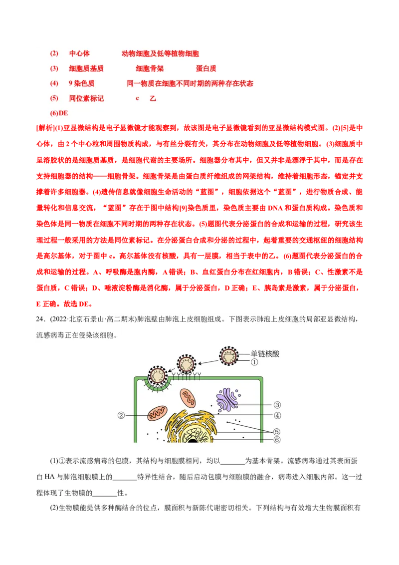 第3章细胞的基本结构（A卷&middot;知识通关练）（解析版）_高中九科知识点归纳。_人教版高中Word电子版试卷练习试题知识点全科_高中生物试卷习题_生物必修_必修1_1.单元测试AB卷（第一套）