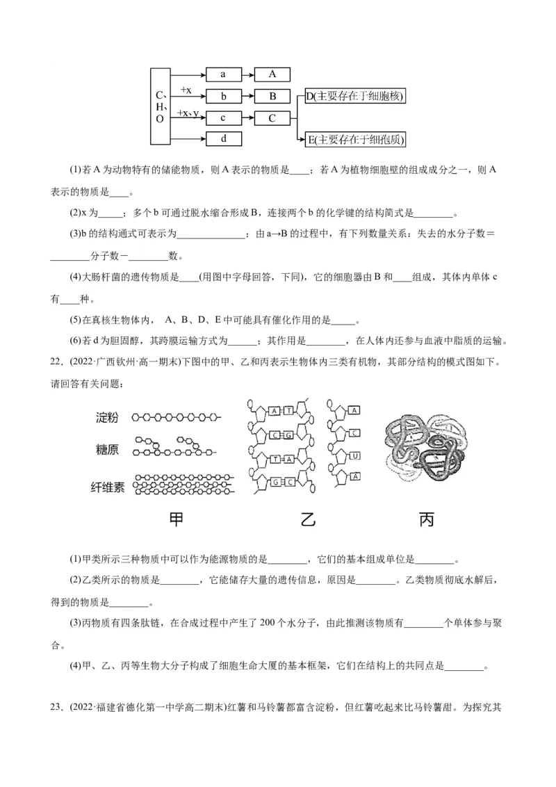 第2章组成细胞的分子（A卷&middot;知识通关练）（原卷版）_高中九科知识点归纳。_人教版高中Word电子版试卷练习试题知识点全科_高中生物试卷习题_生物必修_必修1_1.单元测试AB卷（第一套）