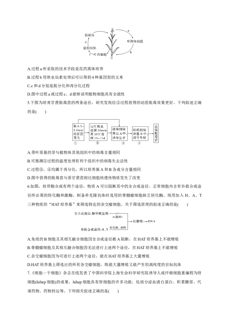 第二单元细胞工程（能力提升）-高二生物单元测试定心卷（人教版2019选择性必修3）（原卷版）_高中九科知识点归纳。_人教版高中Word电子版试卷练习试题知识点全科_高中生物试卷习题