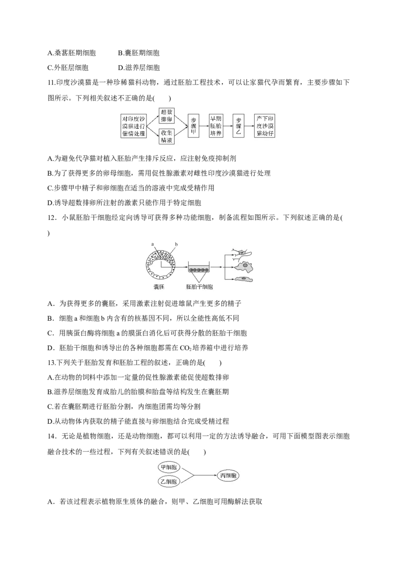 第二单元细胞工程（能力提升）-高二生物单元测试定心卷（人教版2019选择性必修3）（原卷版）_高中九科知识点归纳。_人教版高中Word电子版试卷练习试题知识点全科_高中生物试卷习题