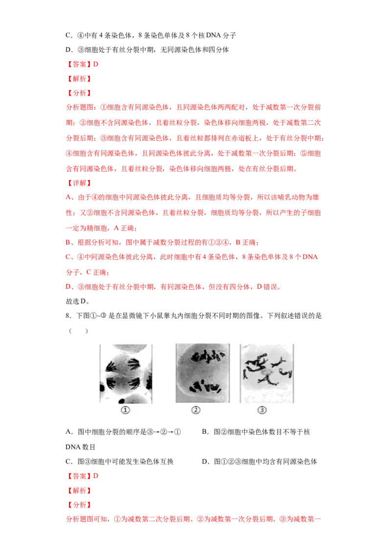 期末拔高卷5-冲刺期末高一生物下学期期末拔高冲刺卷（2019人教版）（解析版）_高中九科知识点归纳。_人教版高中Word电子版试卷练习试题知识点全科_高中生物试卷习题_生物必修