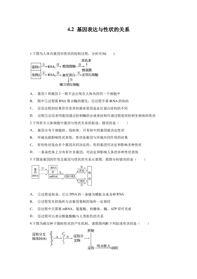 新教材精创4.2基因表达与性状的关系练习（1）（原卷版）_高中九科知识点归纳。_人教版高中Word电子版试卷练习试题知识点全科_高中生物试卷习题_生物必修_必修2_1、同步练习