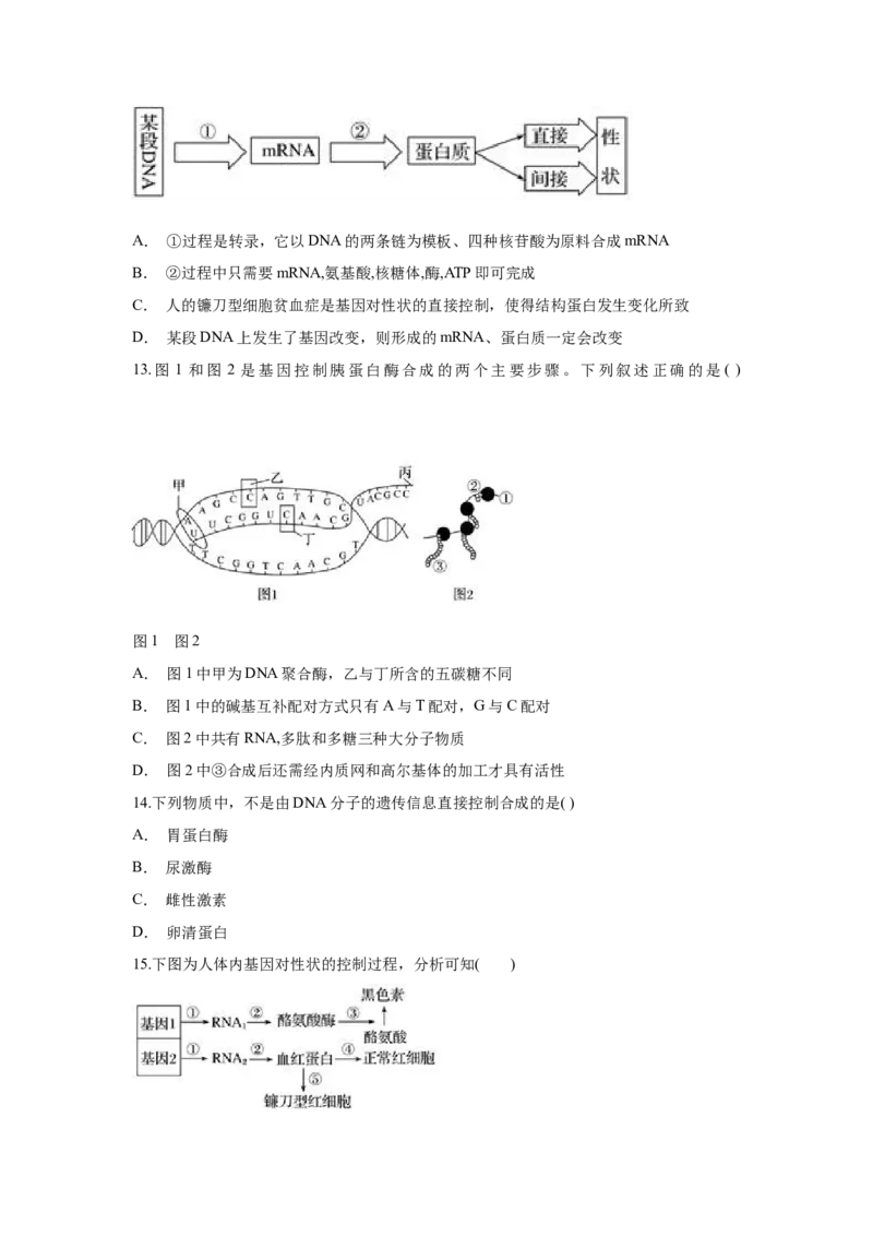 新教材精创4.2基因表达与性状的关系练习（1）（原卷版）_高中九科知识点归纳。_人教版高中Word电子版试卷练习试题知识点全科_高中生物试卷习题_生物必修_必修2_1、同步练习
