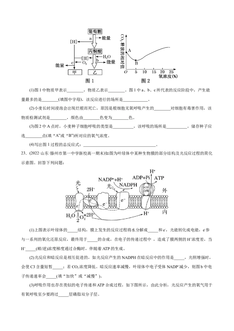第5章细胞的能量供应和利用（A卷&middot;知识通关练）（原卷版）_高中九科知识点归纳。_人教版高中Word电子版试卷练习试题知识点全科_高中生物试卷习题_生物必修_必修1
