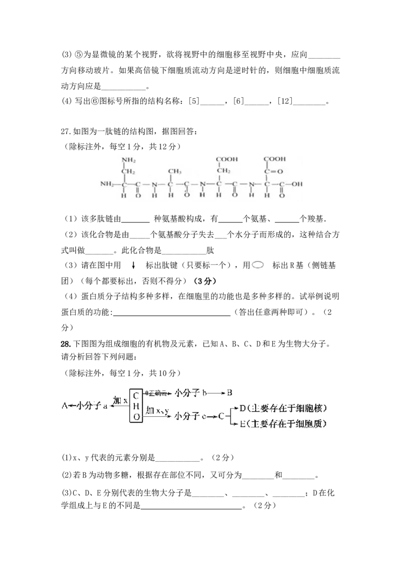 海南省临高县临高中学高一上学期期中考试生物试卷_高中九科知识点归纳。_人教版高中Word电子版试卷练习试题知识点全科_高中生物试卷习题_生物必修_必修1