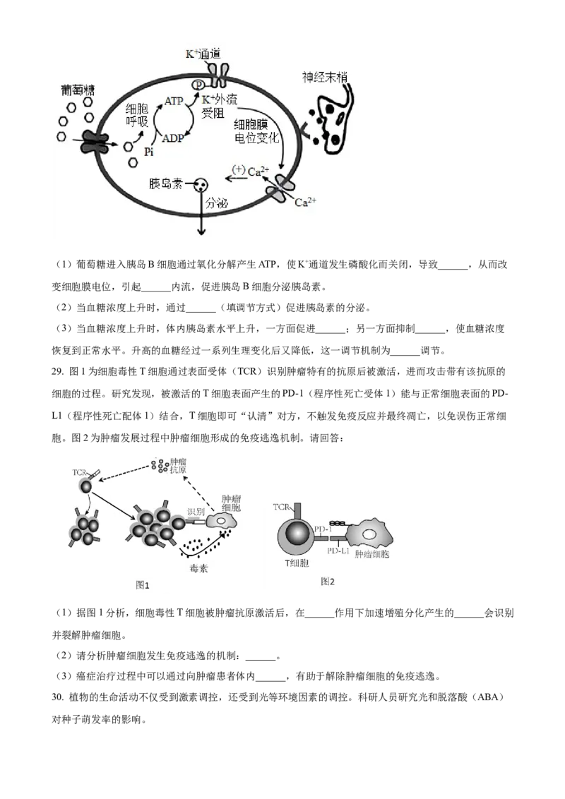 高二上学期期末教学质量监测生物试题（原卷版）_高中九科知识点归纳。_人教版高中Word电子版试卷练习试题知识点全科_高中生物试卷习题_生物选修_选修1