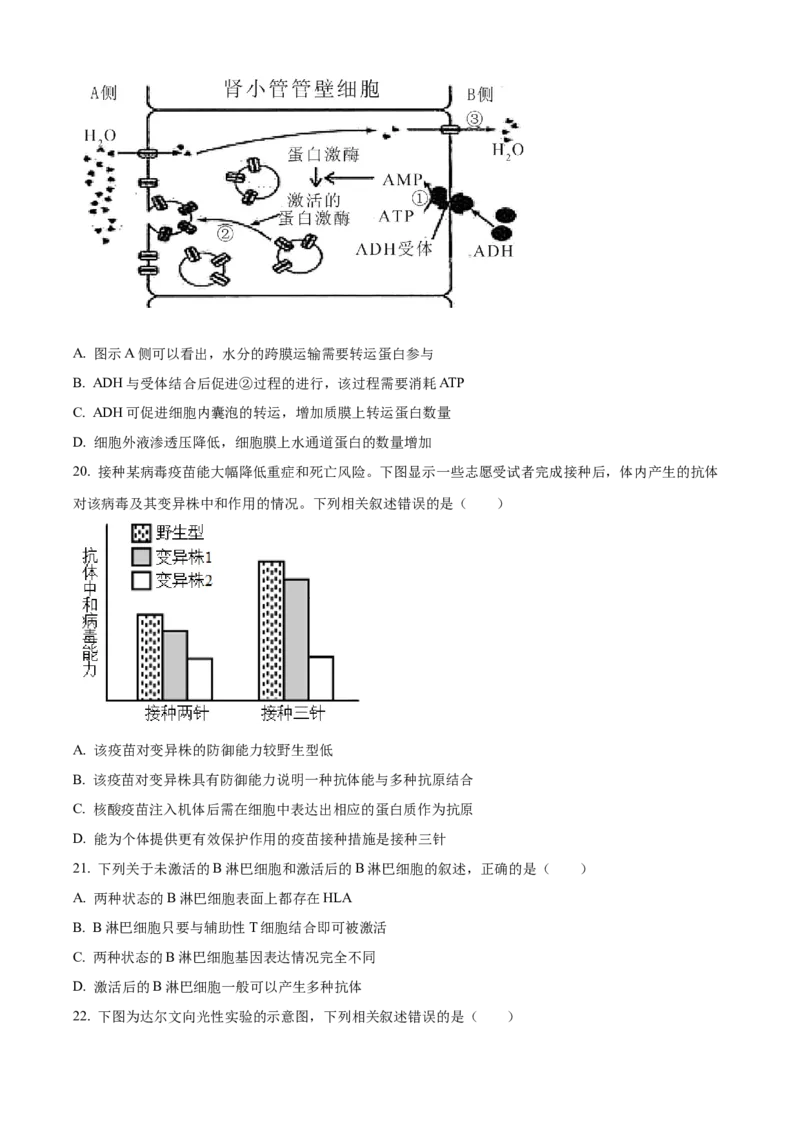 高二上学期期末教学质量监测生物试题（原卷版）_高中九科知识点归纳。_人教版高中Word电子版试卷练习试题知识点全科_高中生物试卷习题_生物选修_选修1
