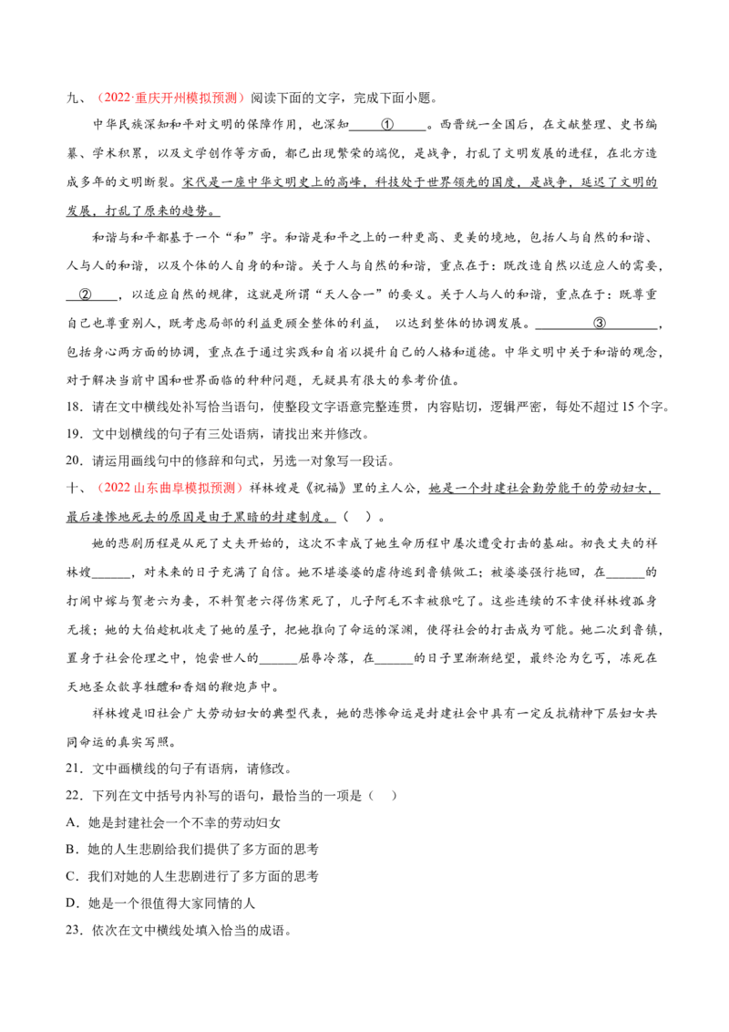 考向09仿写句子-备战2023年高考语文一轮复习考点微专题（新高考地区专用）（原卷版）_01高考语文_32023年新高考资料_一轮复习