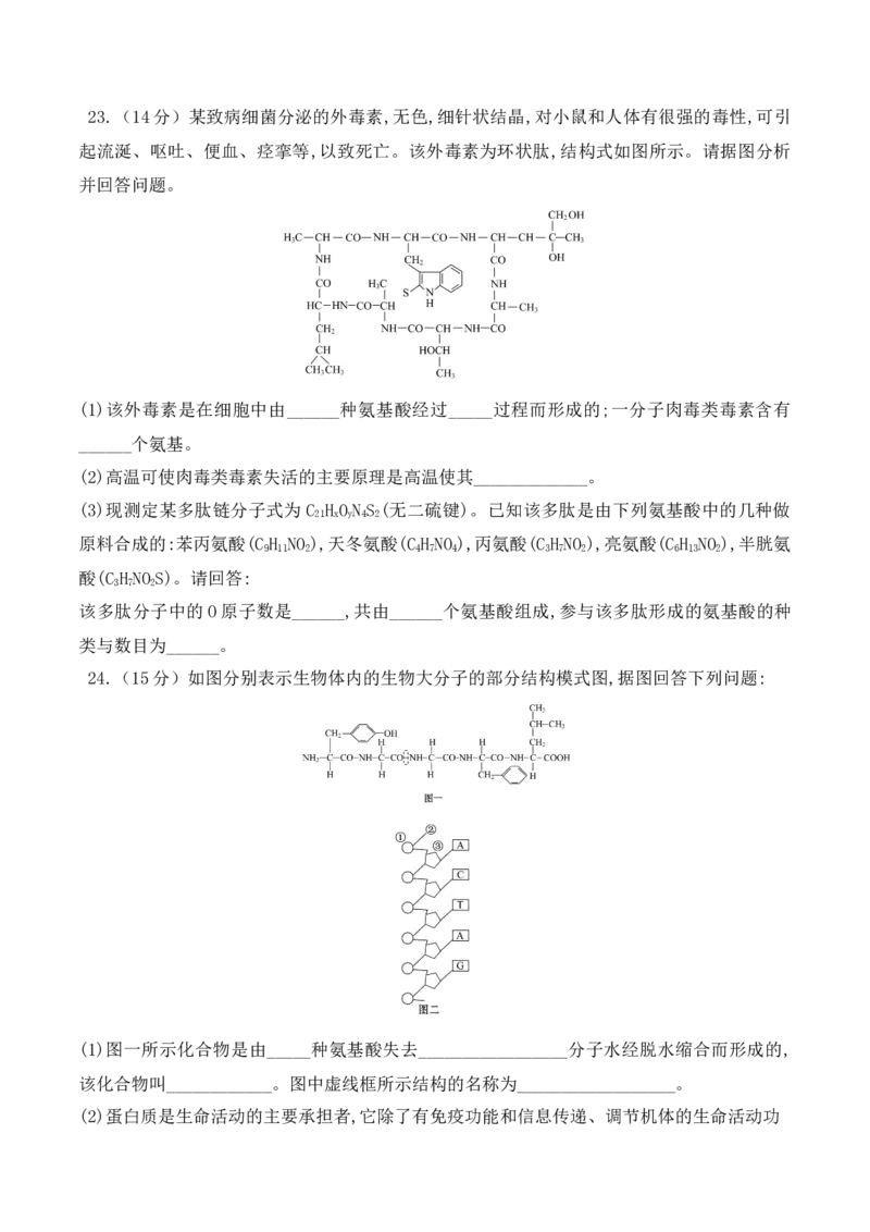 第一次月考卷-高一生物上学期课后培优分级练（2019人教版必修1）（原卷版）_高中九科知识点归纳。_人教版高中Word电子版试卷练习试题知识点全科_高中生物试卷习题_生物必修_必修1