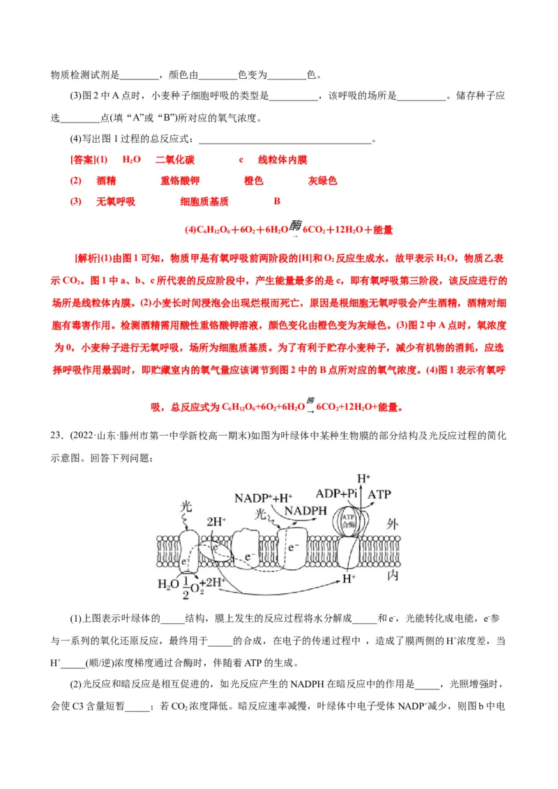 第5章细胞的能量供应和利用（A卷&middot;知识通关练）（解析版）_高中九科知识点归纳。_人教版高中Word电子版试卷练习试题知识点全科_高中生物试卷习题_生物必修_必修1
