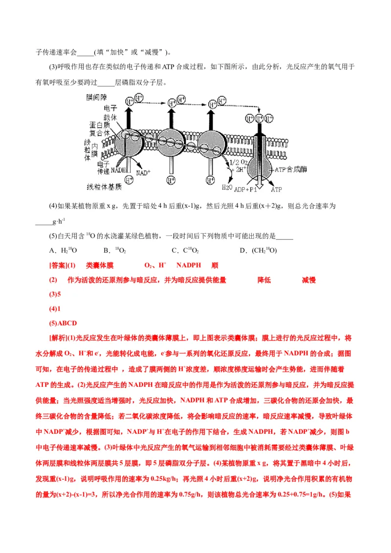 第5章细胞的能量供应和利用（A卷&middot;知识通关练）（解析版）_高中九科知识点归纳。_人教版高中Word电子版试卷练习试题知识点全科_高中生物试卷习题_生物必修_必修1