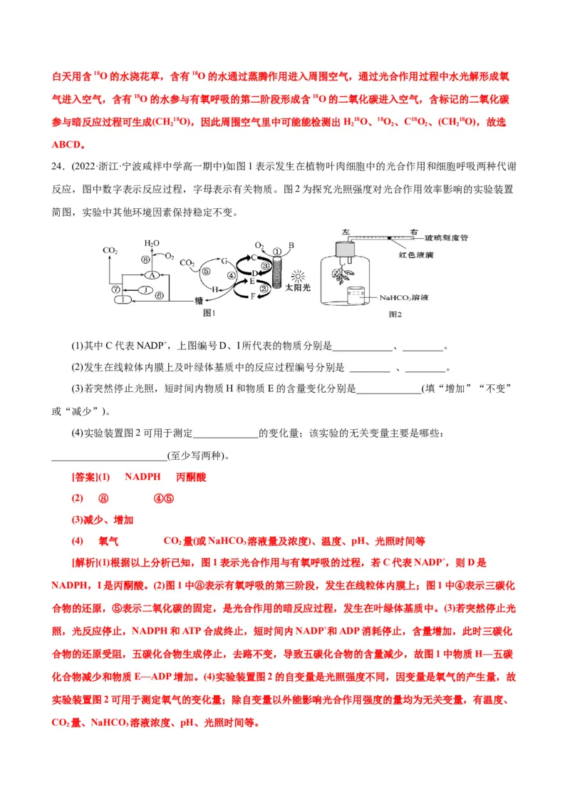 第5章细胞的能量供应和利用（A卷&middot;知识通关练）（解析版）_高中九科知识点归纳。_人教版高中Word电子版试卷练习试题知识点全科_高中生物试卷习题_生物必修_必修1