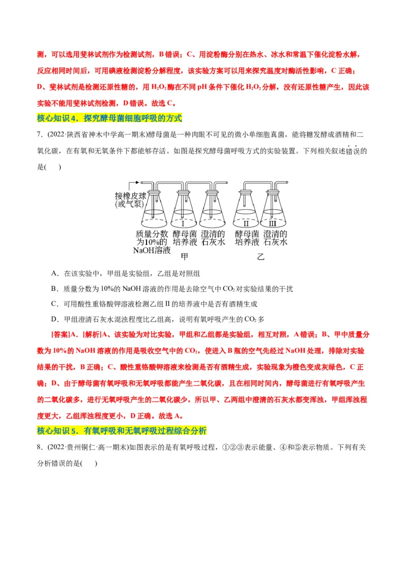第5章细胞的能量供应和利用（A卷&middot;知识通关练）（解析版）_高中九科知识点归纳。_人教版高中Word电子版试卷练习试题知识点全科_高中生物试卷习题_生物必修_必修1