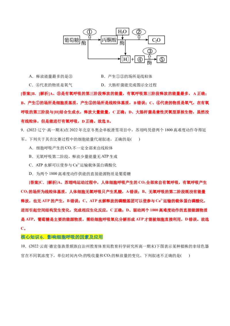 第5章细胞的能量供应和利用（A卷&middot;知识通关练）（解析版）_高中九科知识点归纳。_人教版高中Word电子版试卷练习试题知识点全科_高中生物试卷习题_生物必修_必修1