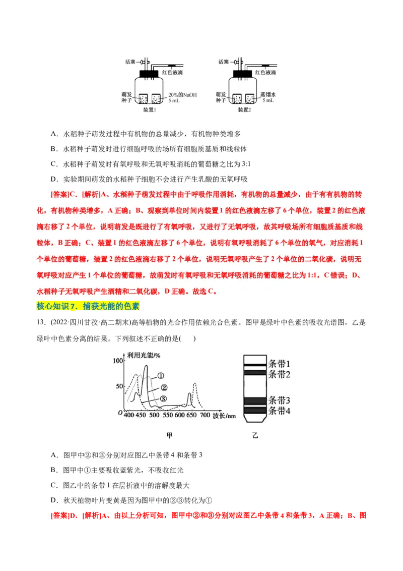 第5章细胞的能量供应和利用（A卷&middot;知识通关练）（解析版）_高中九科知识点归纳。_人教版高中Word电子版试卷练习试题知识点全科_高中生物试卷习题_生物必修_必修1
