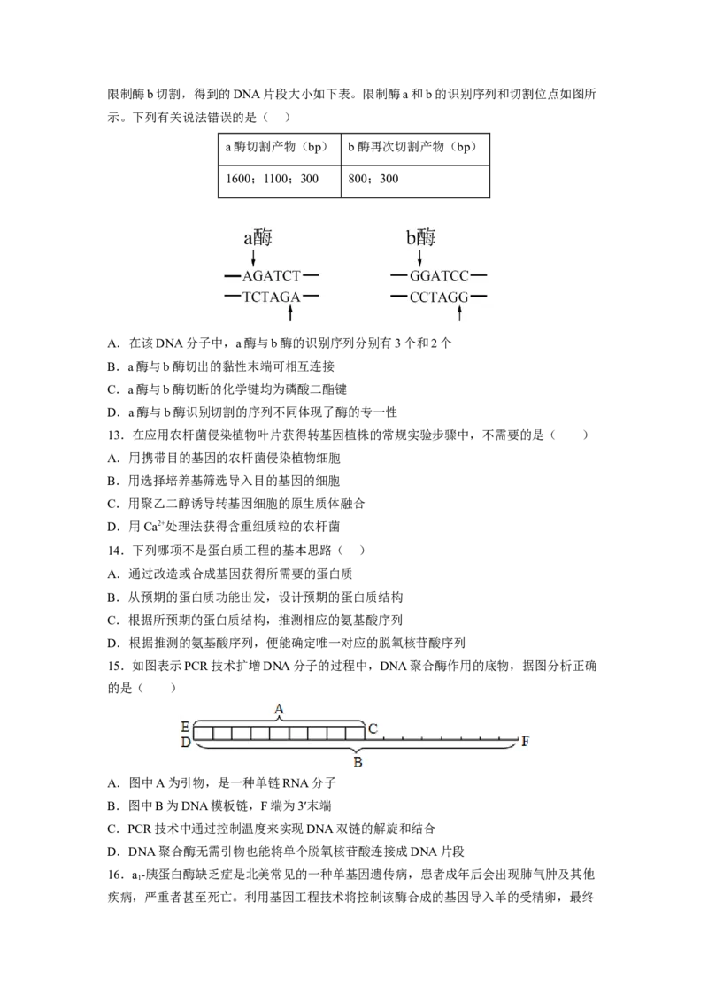 第3章基因工程（满分培优卷）-2022-2023学年高二生物基础与培优高效突破测试卷（人教版2019选择性必修3）（原卷版）_高中九科知识点归纳。_人教版高中Word电子版试卷练习试题知识点全科