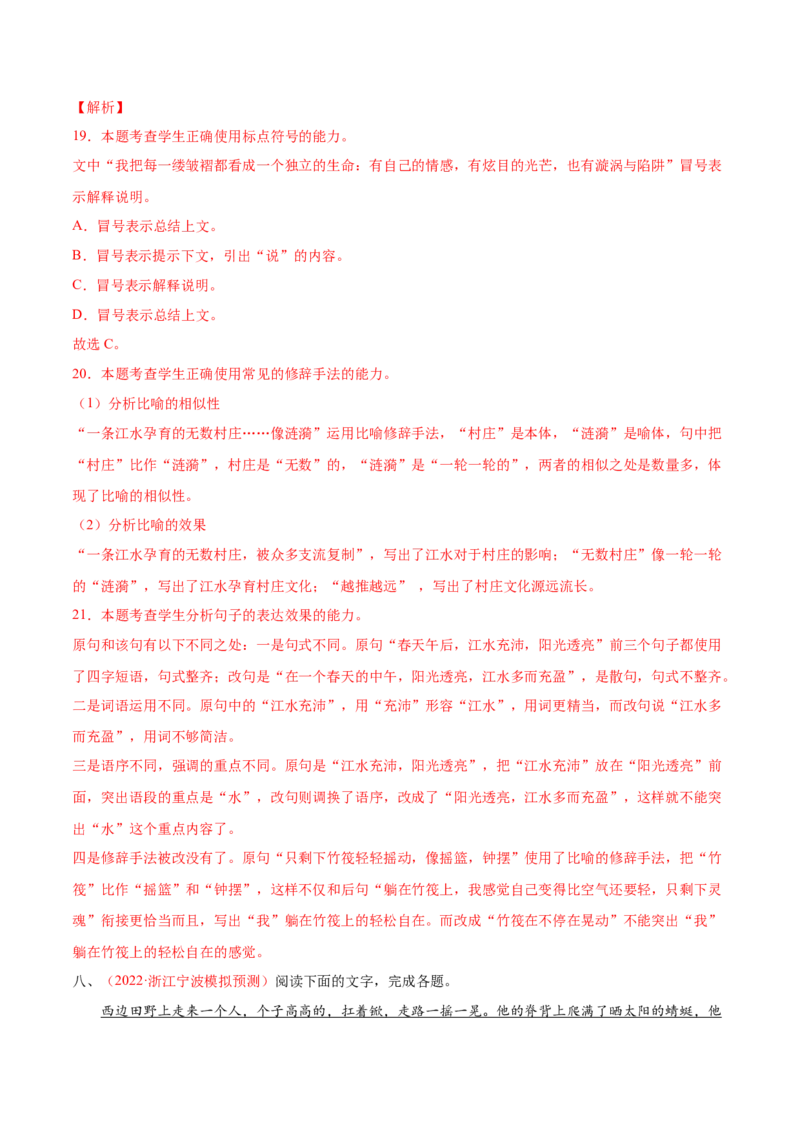 考向05正确使用标点符号-备战2023年高考语文一轮复习考点微专题（全国通用）（解析版）_01高考语文_6赠通用版（老高考）复习资料_一轮复习