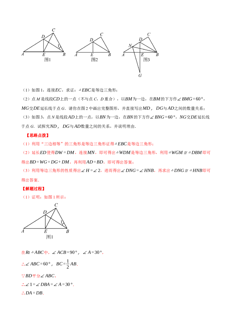 专题13.3三角形中的几何综合（压轴题专项讲练）（人教版）（教师版）_初中数学_八年级数学上册（人教版）_压轴题专项-V5_2024版