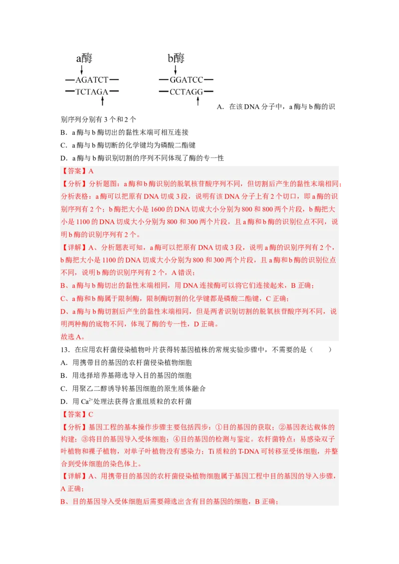 第3章基因工程（满分培优卷）-2022-2023学年高二生物基础与培优高效突破测试卷（人教版2019选择性必修3）（解析版）_高中九科知识点归纳。_人教版高中Word电子版试卷练习试题知识点全科