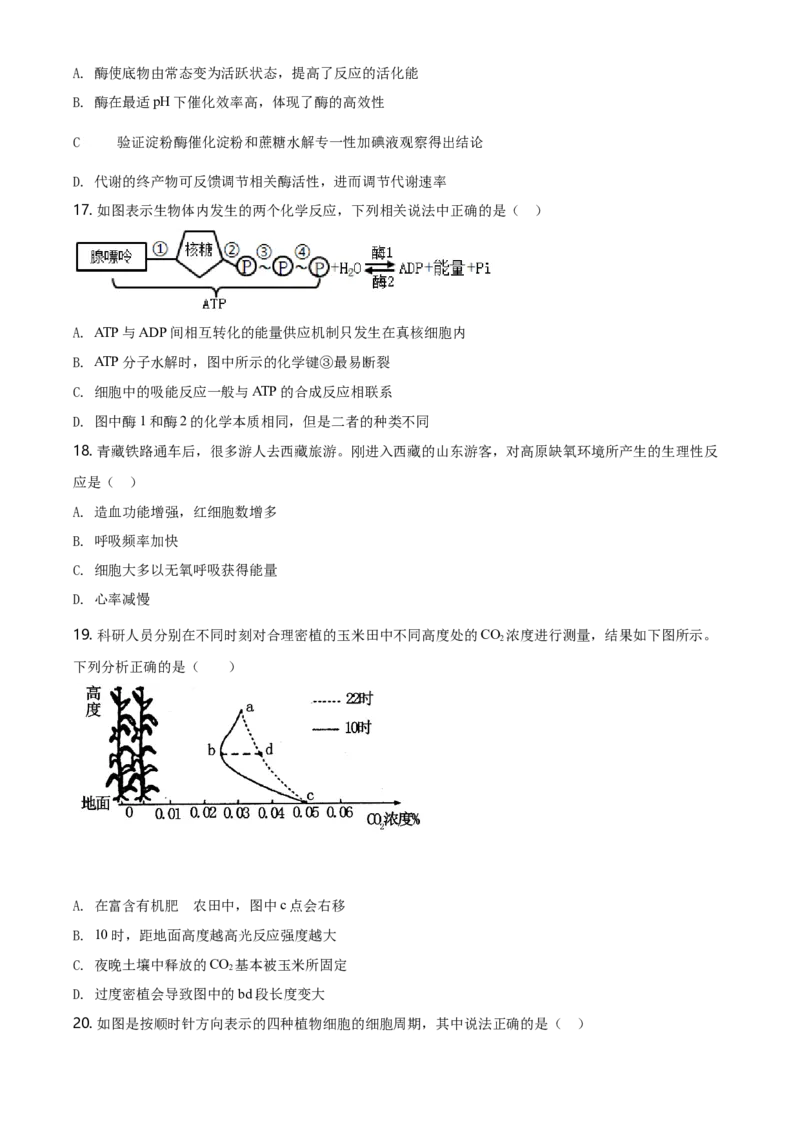 精品解析：山东省烟台市招远一中高一上学期期末生物试题（原卷版）_高中九科知识点归纳。_人教版高中Word电子版试卷练习试题知识点全科_高中生物试卷习题_生物必修_必修1_2.各地真题
