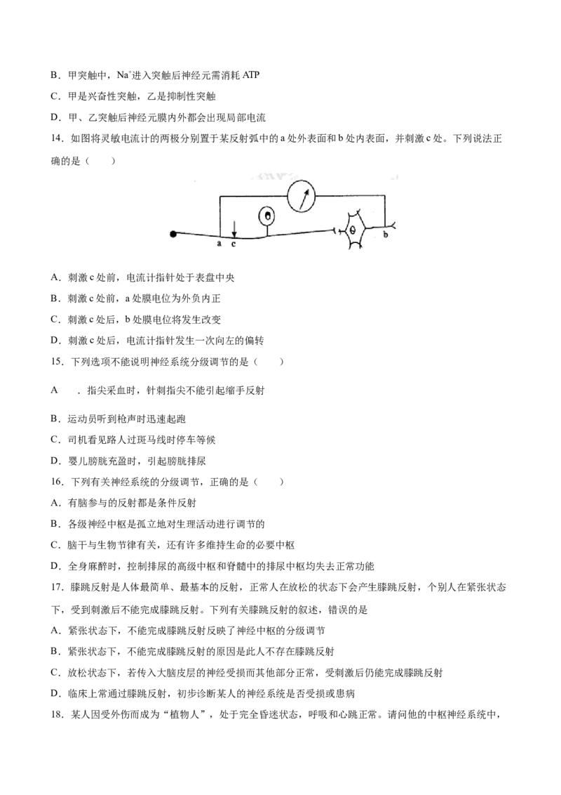 高二生物上学期期中测试卷01（人教版2019选择性必修1）（原卷版）_高中九科知识点归纳。_人教版高中Word电子版试卷练习试题知识点全科_高中生物试卷习题_生物选修_选修1
