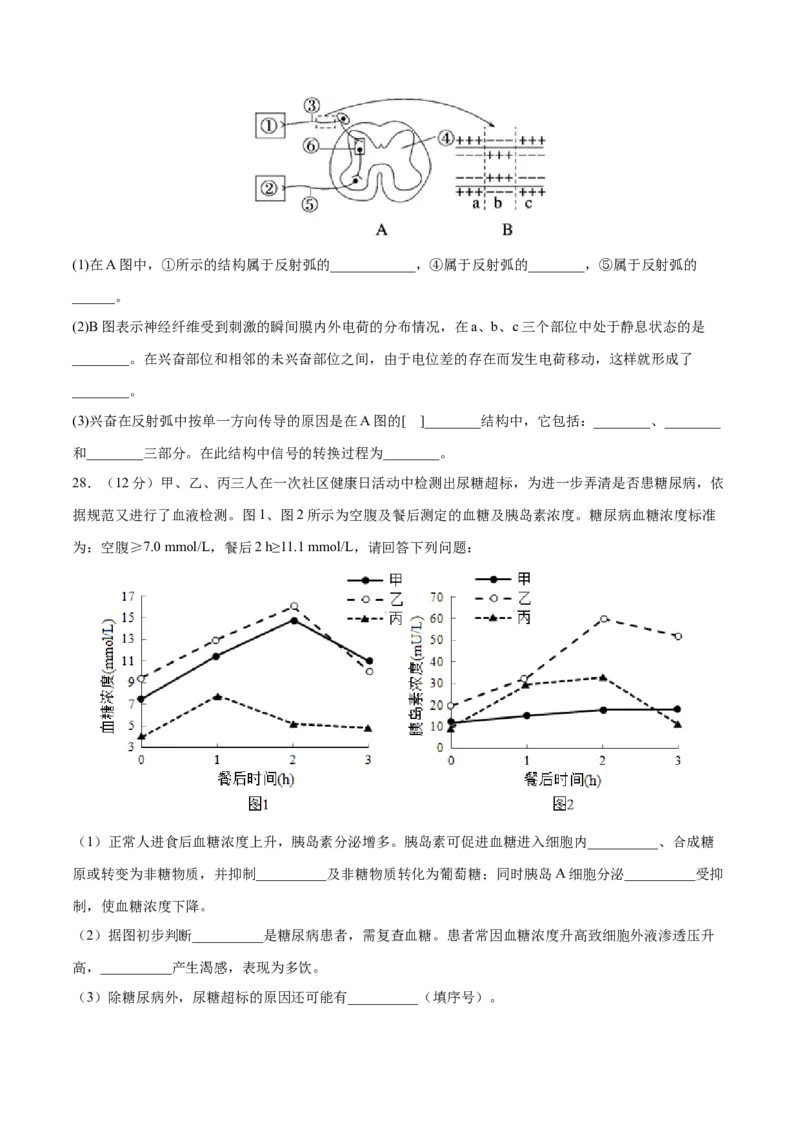 高二生物上学期期中测试卷01（人教版2019选择性必修1）（原卷版）_高中九科知识点归纳。_人教版高中Word电子版试卷练习试题知识点全科_高中生物试卷习题_生物选修_选修1