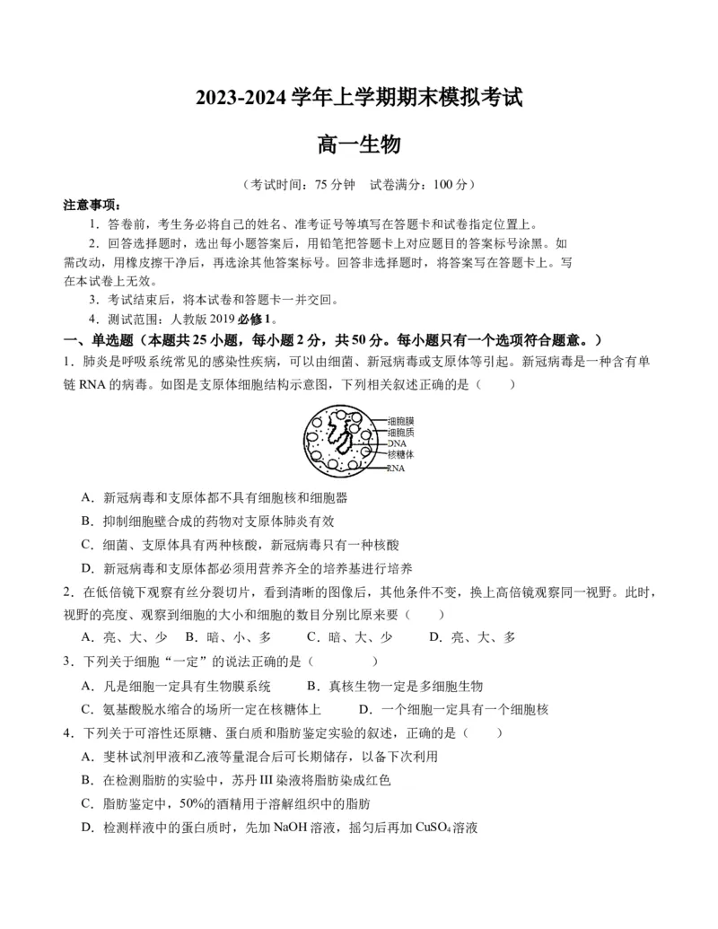 期末模拟卷01（考试版A4版）测试范围：人教版2019必修1_高中九科知识点归纳。_人教版高中Word电子版试卷练习试题知识点全科_高中生物试卷习题_生物必修_必修1