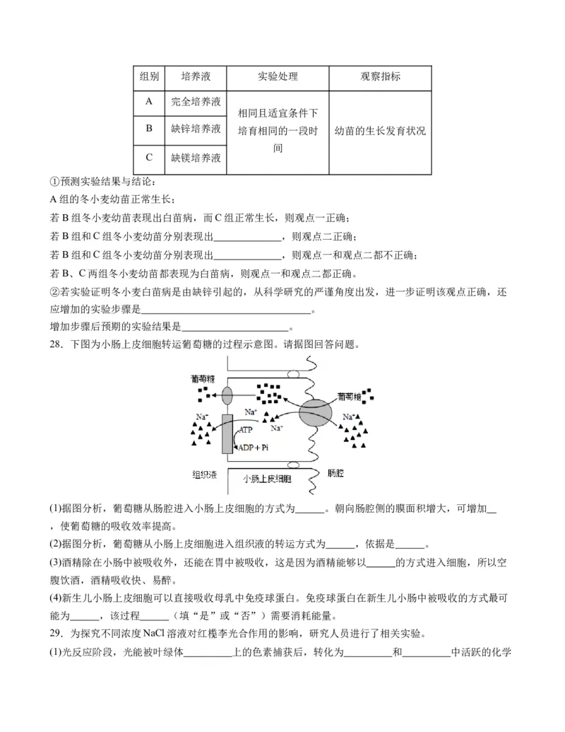 期末模拟卷01（考试版A4版）测试范围：人教版2019必修1_高中九科知识点归纳。_人教版高中Word电子版试卷练习试题知识点全科_高中生物试卷习题_生物必修_必修1