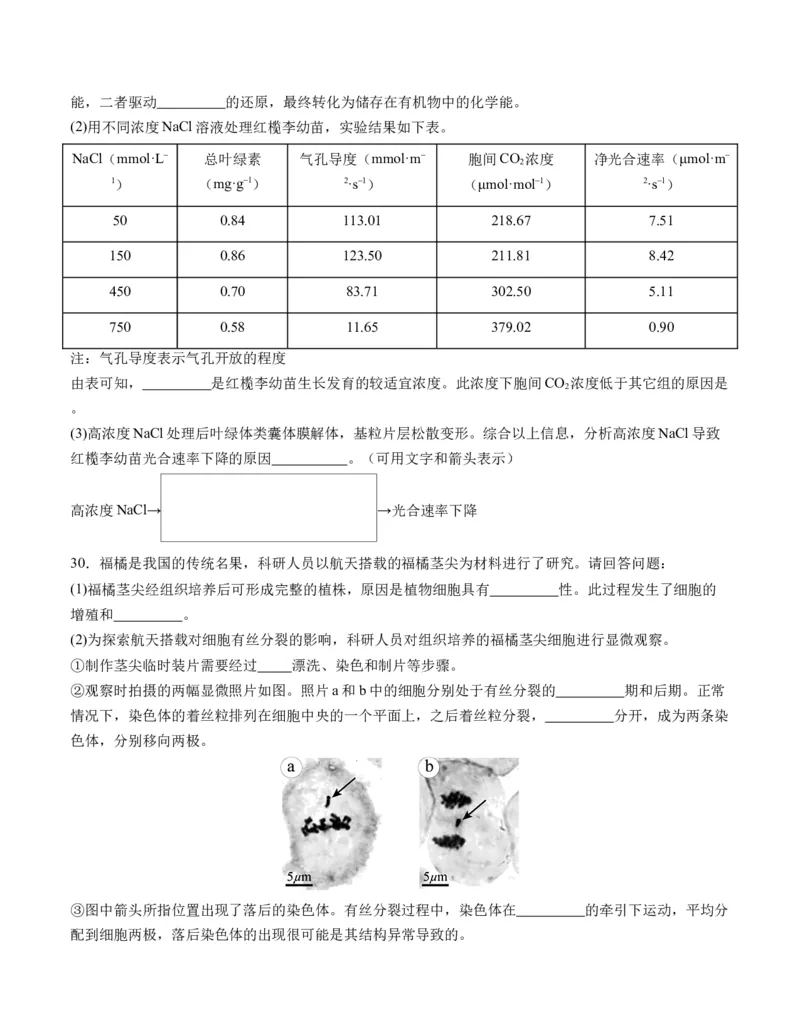 期末模拟卷01（考试版A4版）测试范围：人教版2019必修1_高中九科知识点归纳。_人教版高中Word电子版试卷练习试题知识点全科_高中生物试卷习题_生物必修_必修1