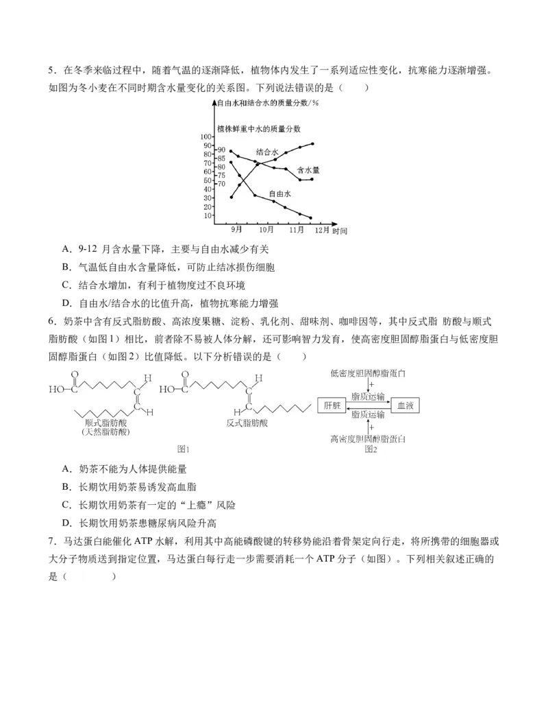 期末模拟卷01（考试版A4版）测试范围：人教版2019必修1_高中九科知识点归纳。_人教版高中Word电子版试卷练习试题知识点全科_高中生物试卷习题_生物必修_必修1