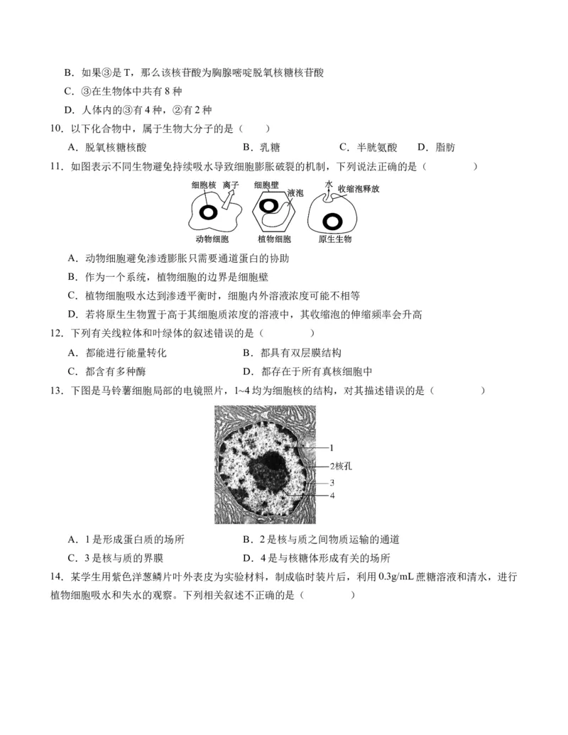 期末模拟卷01（考试版A4版）测试范围：人教版2019必修1_高中九科知识点归纳。_人教版高中Word电子版试卷练习试题知识点全科_高中生物试卷习题_生物必修_必修1