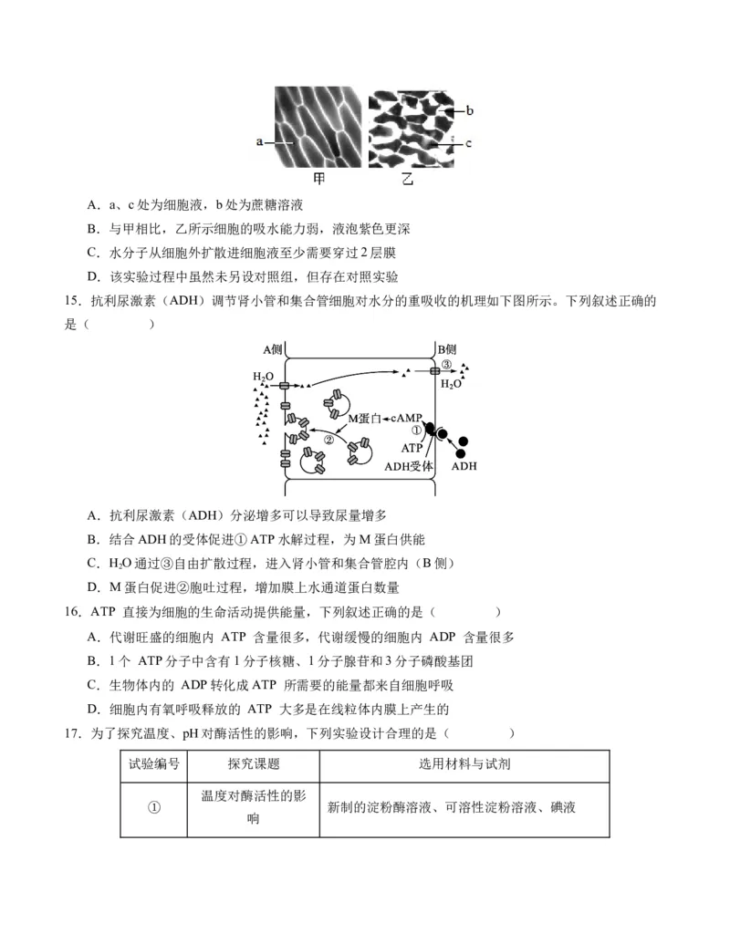 期末模拟卷01（考试版A4版）测试范围：人教版2019必修1_高中九科知识点归纳。_人教版高中Word电子版试卷练习试题知识点全科_高中生物试卷习题_生物必修_必修1
