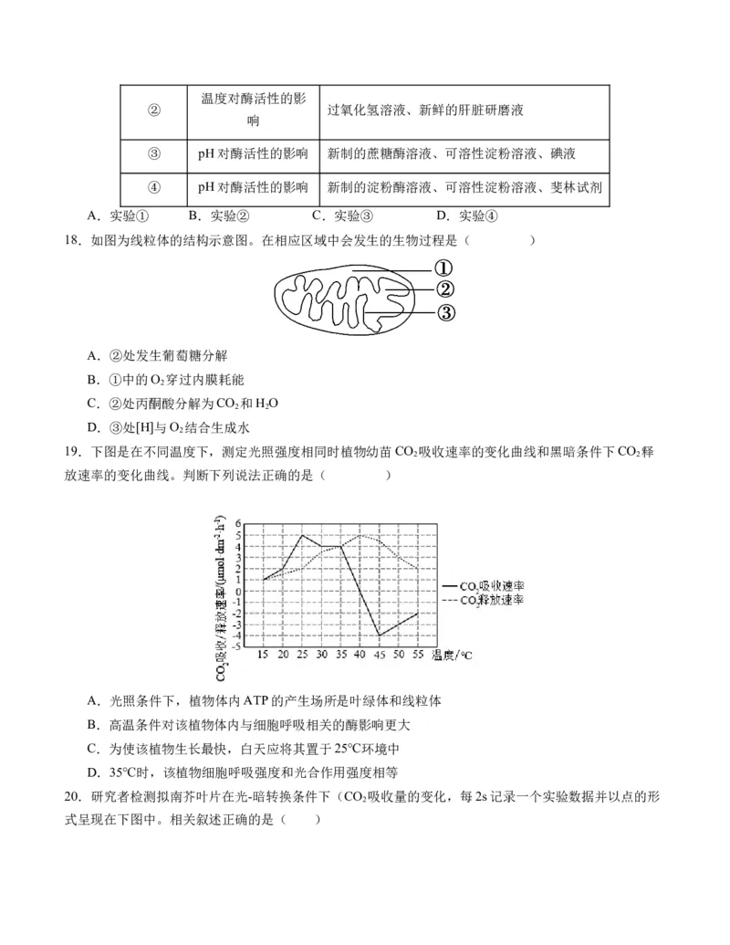 期末模拟卷01（考试版A4版）测试范围：人教版2019必修1_高中九科知识点归纳。_人教版高中Word电子版试卷练习试题知识点全科_高中生物试卷习题_生物必修_必修1