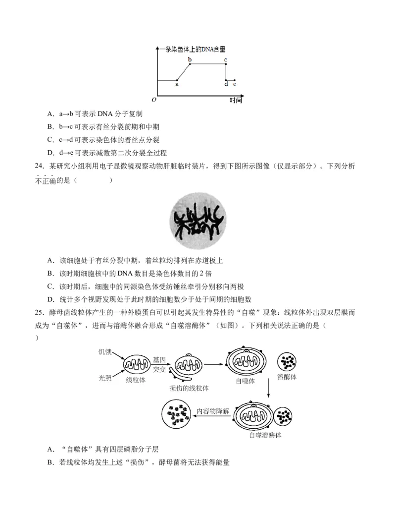 期末模拟卷01（考试版A4版）测试范围：人教版2019必修1_高中九科知识点归纳。_人教版高中Word电子版试卷练习试题知识点全科_高中生物试卷习题_生物必修_必修1