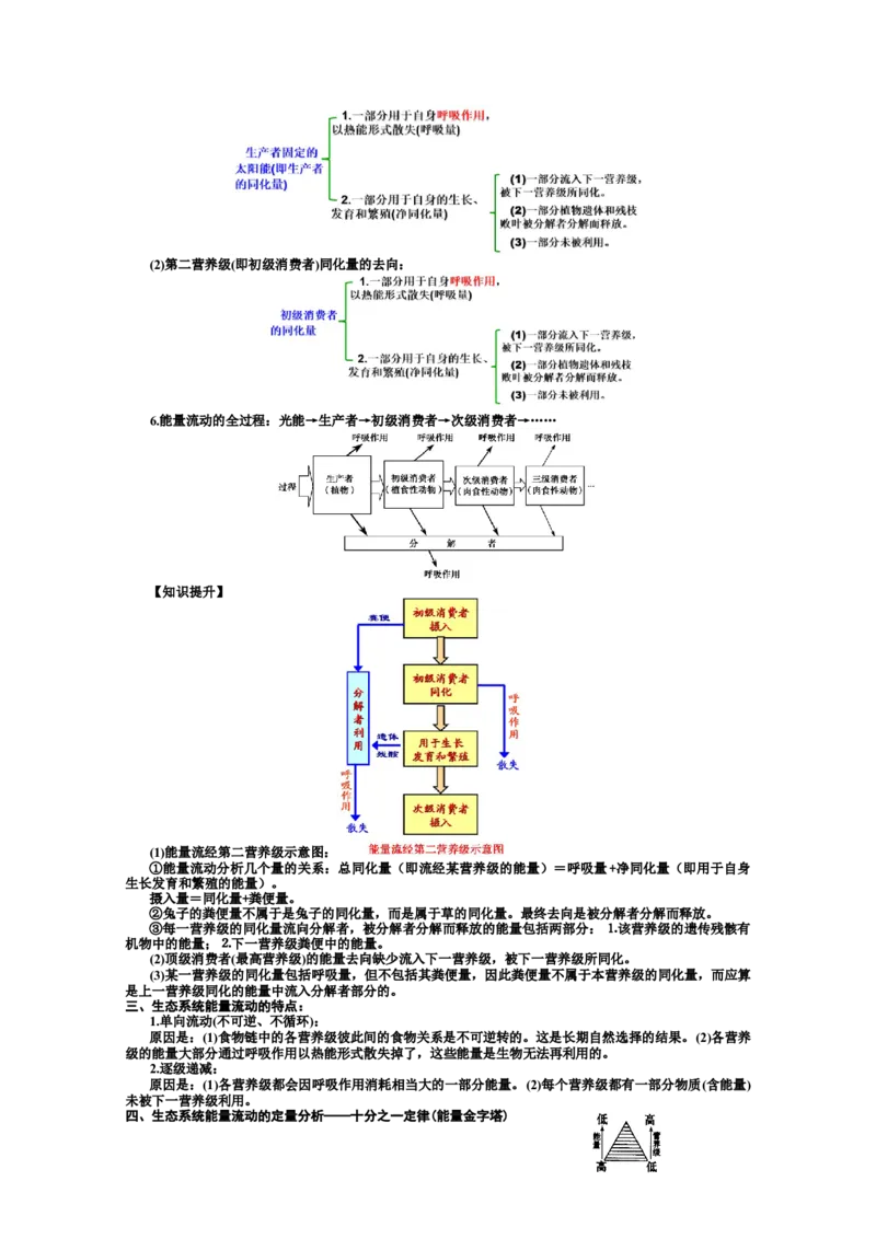 选择性必修2知识总结高二上学期生物人教版选择性必修2_高中九科知识点归纳。_人教版高中Word电子版试卷练习试题知识点全科_高中生物试卷习题_生物选修_选修2