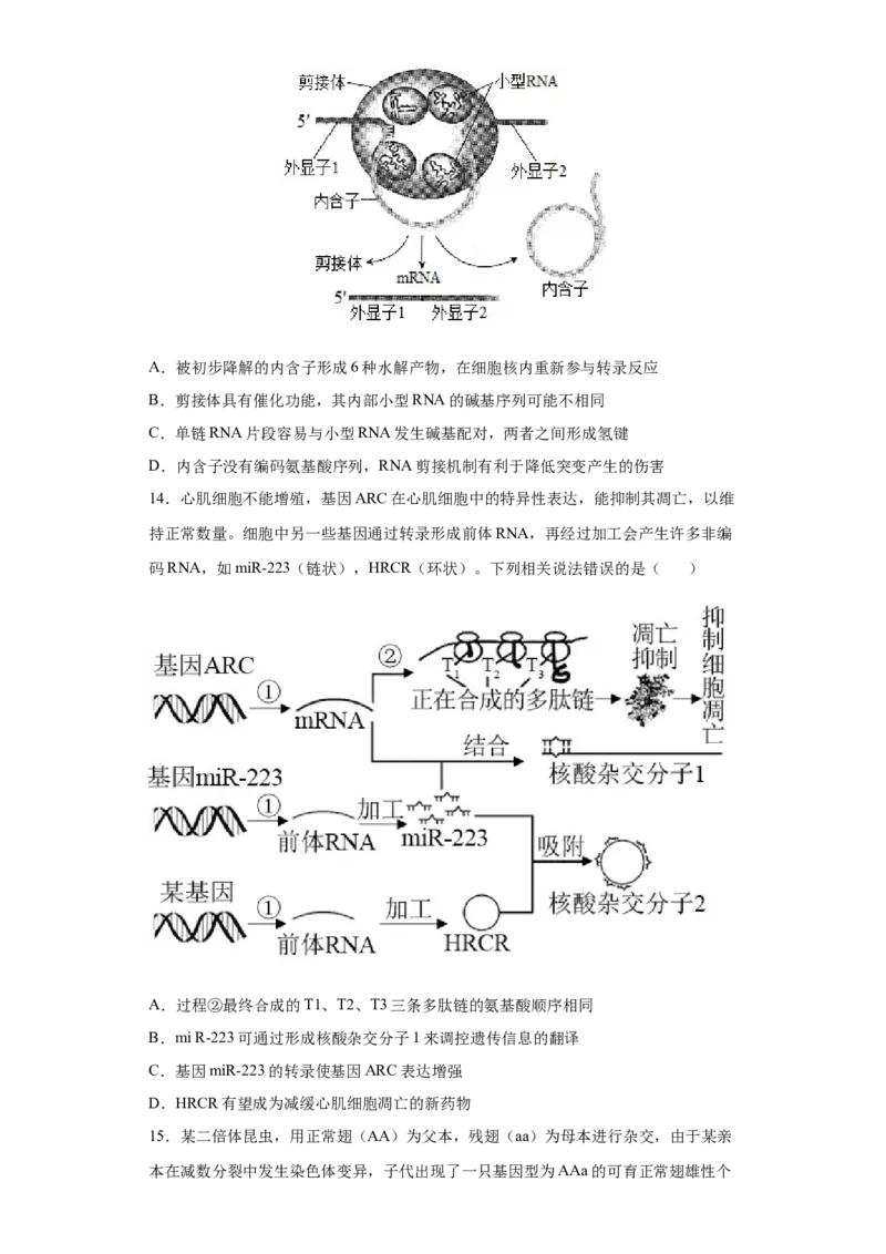 期末冲刺卷1-冲刺期末高一生物下学期期末拔高冲刺卷（2019人教版）（原卷版）_高中九科知识点归纳。_人教版高中Word电子版试卷练习试题知识点全科_高中生物试卷习题_生物必修