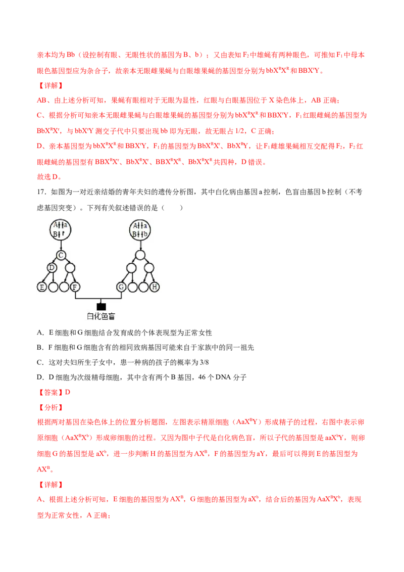 期末押题02-高一生物下学期期末专项复习（人教版2019必修2）（解析版）_高中九科知识点归纳。_人教版高中Word电子版试卷练习试题知识点全科_高中生物试卷习题_生物必修_必修2