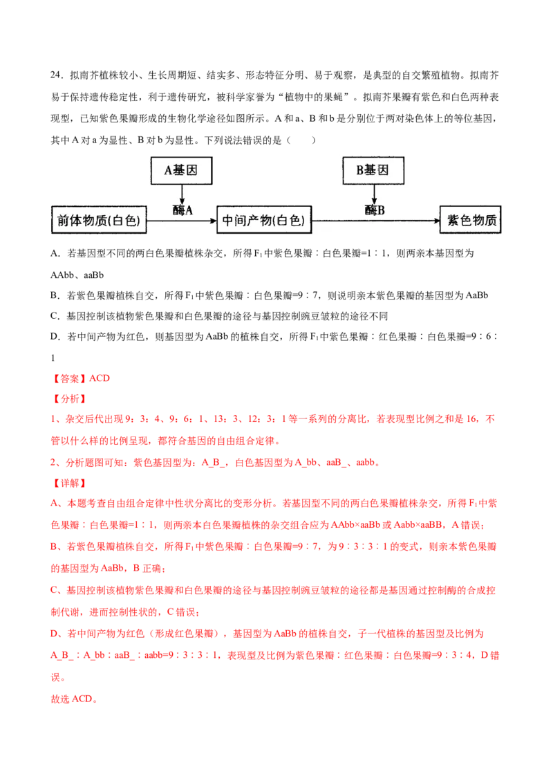 期末押题02-高一生物下学期期末专项复习（人教版2019必修2）（解析版）_高中九科知识点归纳。_人教版高中Word电子版试卷练习试题知识点全科_高中生物试卷习题_生物必修_必修2