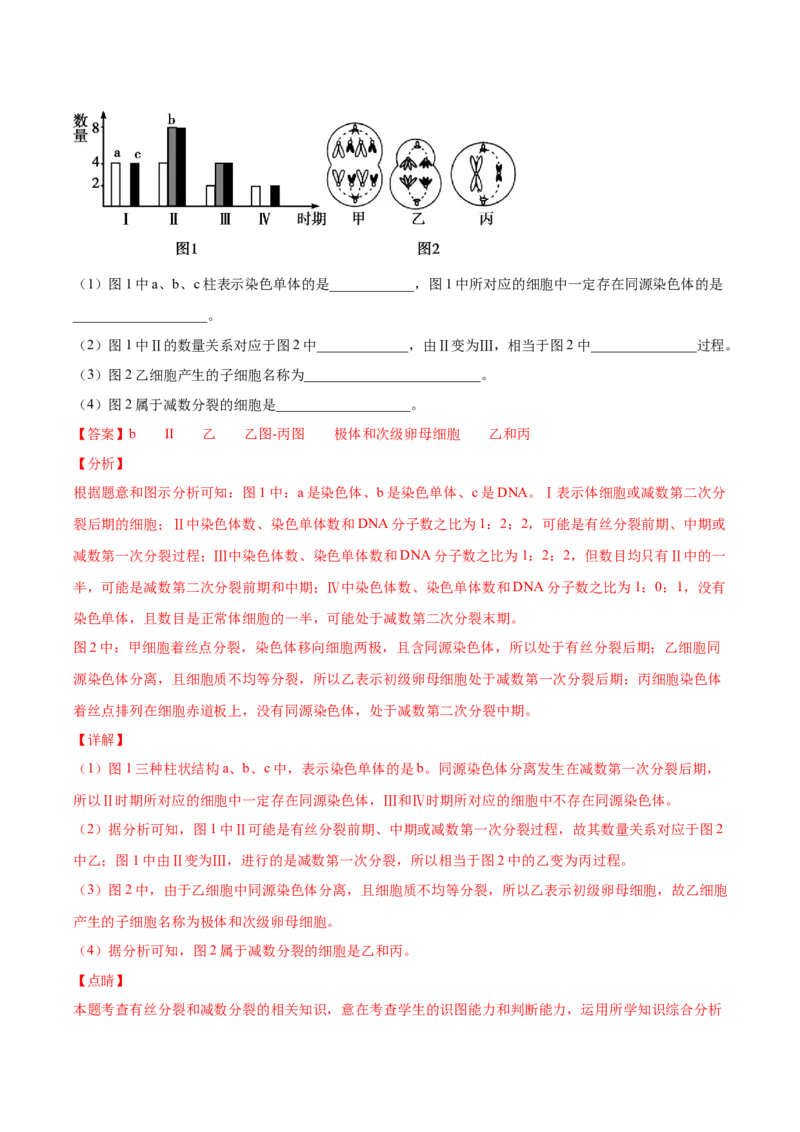 期末押题02-高一生物下学期期末专项复习（人教版2019必修2）（解析版）_高中九科知识点归纳。_人教版高中Word电子版试卷练习试题知识点全科_高中生物试卷习题_生物必修_必修2