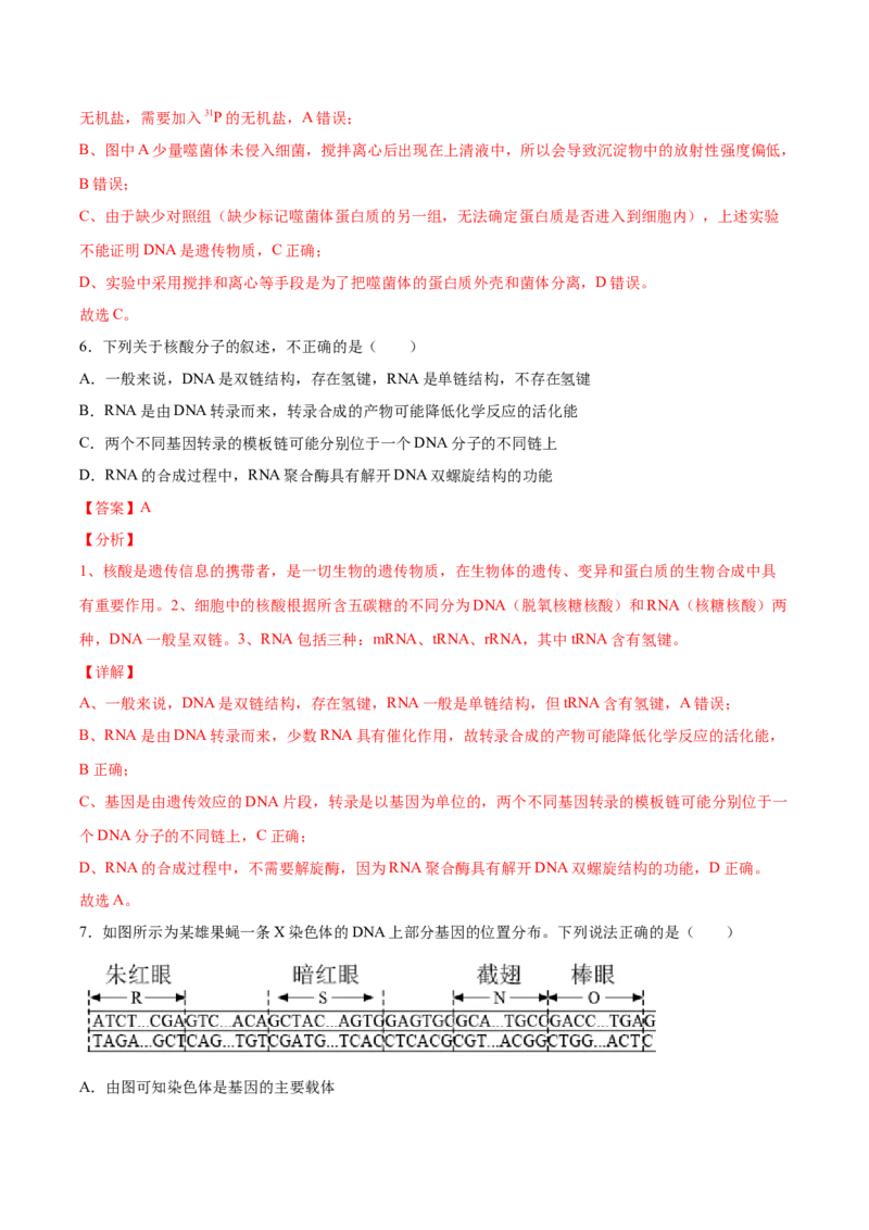 期末押题02-高一生物下学期期末专项复习（人教版2019必修2）（解析版）_高中九科知识点归纳。_人教版高中Word电子版试卷练习试题知识点全科_高中生物试卷习题_生物必修_必修2