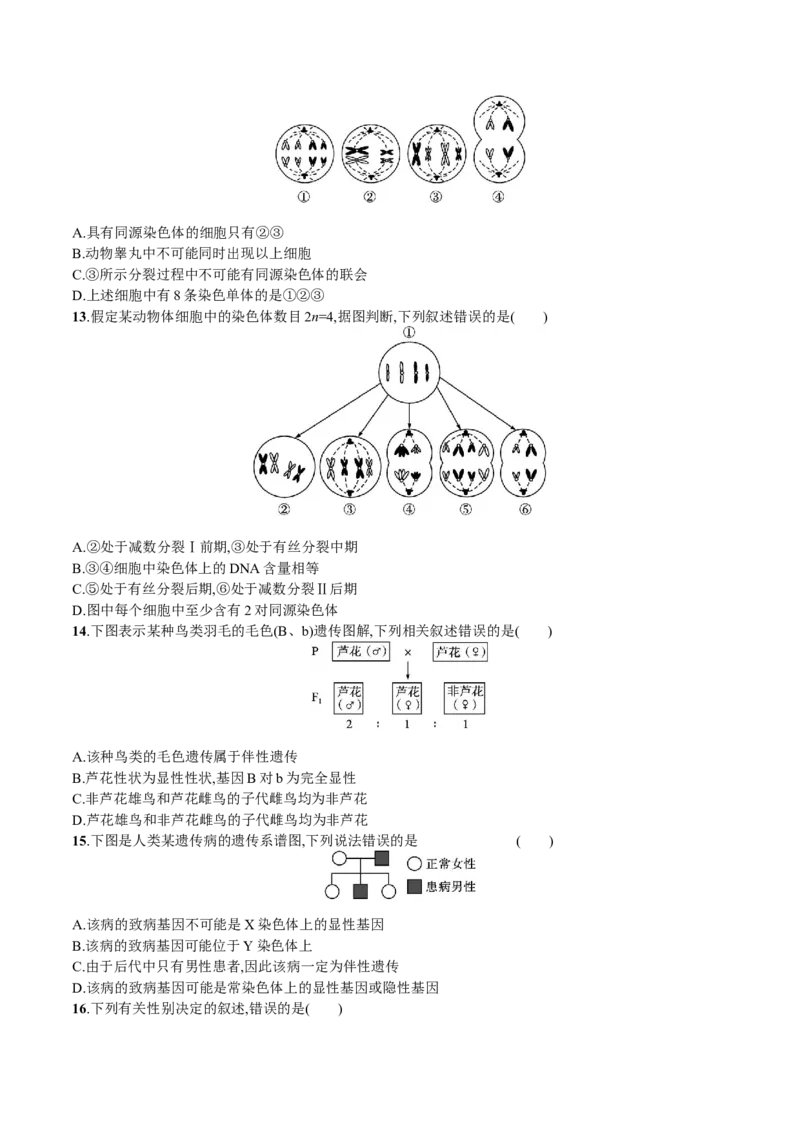 第2章基因和染色体的关系（原卷版）_高中九科知识点归纳。_人教版高中Word电子版试卷练习试题知识点全科_高中生物试卷习题_生物必修_必修2_人教版生物必修二单元测试（012份）