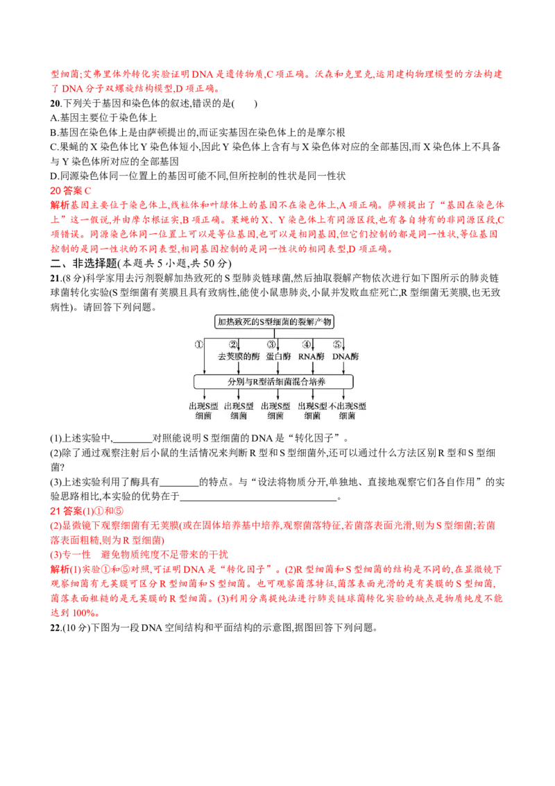 第3章基因的本质（解析版）_高中九科知识点归纳。_人教版高中Word电子版试卷练习试题知识点全科_高中生物试卷习题_生物必修_必修2_人教版生物必修二单元测试（012份）